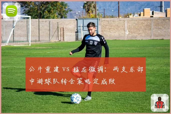 公牛重建 vs 猛龙微调：两支东部中游球队转会策略定成败