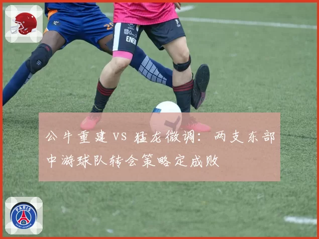 公牛重建 vs 猛龙微调：两支东部中游球队转会策略定成败