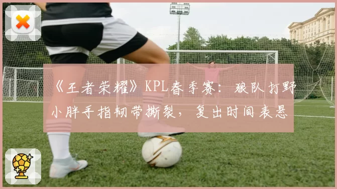 《王者荣耀》KPL春季赛：狼队打野小胖手指韧带撕裂，复出时间表悬而未决