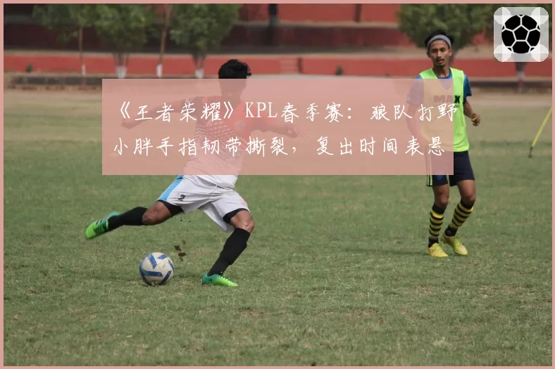 《王者荣耀》KPL春季赛：狼队打野小胖手指韧带撕裂，复出时间表悬而未决