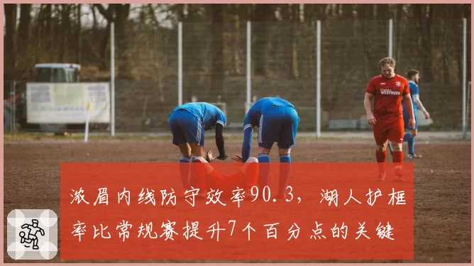 浓眉内线防守效率90.3,湖人护框率比常规赛提升7个百分点的关键